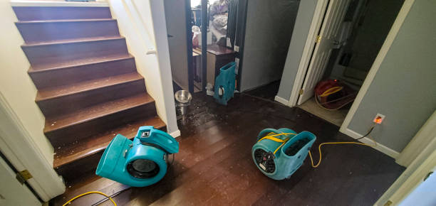Best Flooded house restoration  in Alma, NE