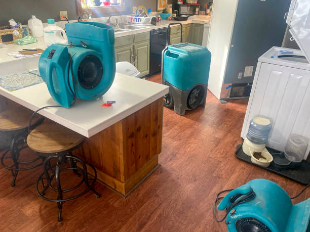 Best 24/7 water damage repair  in Alma, NE