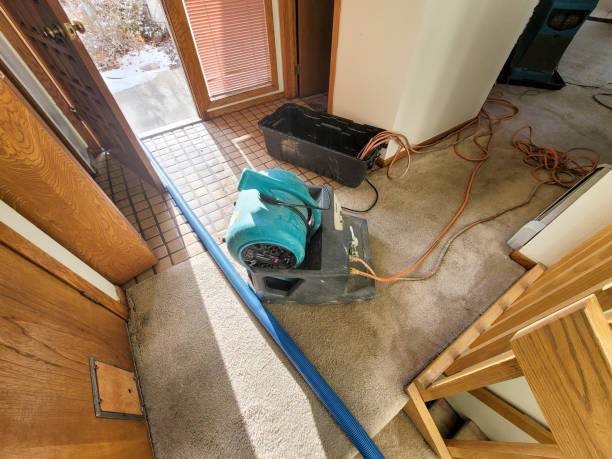 Best Water damage contractors near me  in Alma, NE
