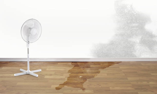 Best 24/7 water damage repair  in Alma, NE