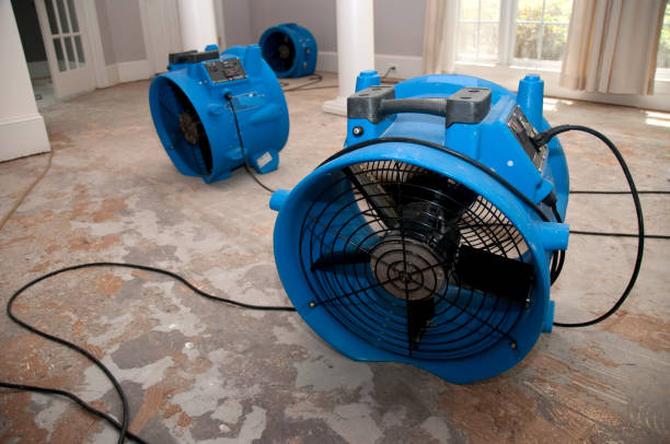 Best Fire Damage Restoration  in Alma, NE