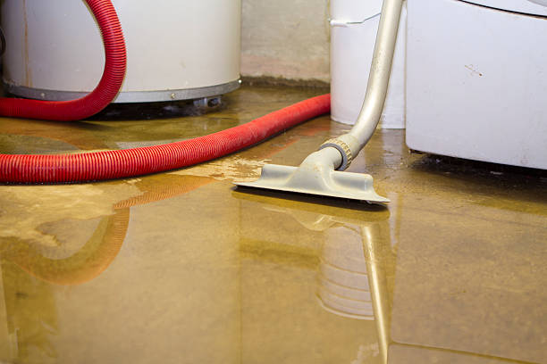 Best Basement water damage restoration  in Alma, NE