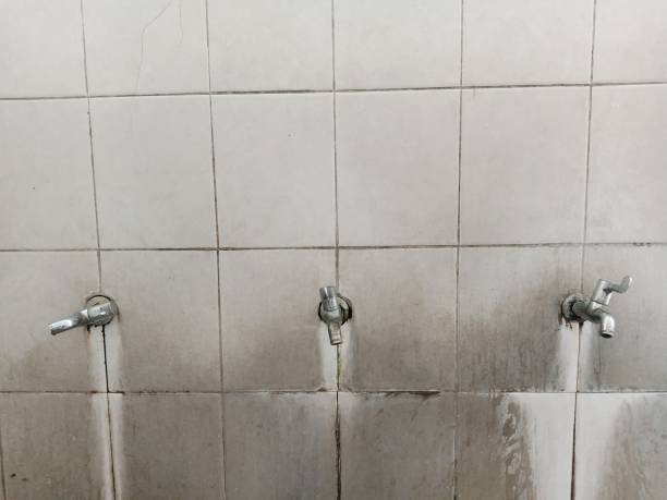 Best Residential water damage restoration  in Alma, NE
