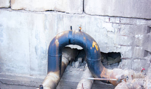 Best Water damage restoration near me  in Alma, NE