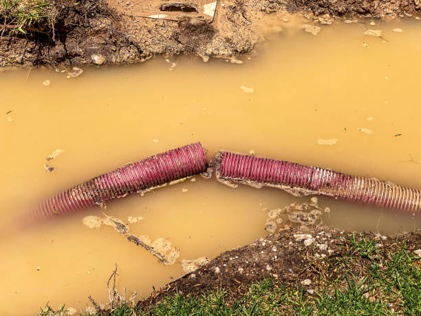 Best Flood damage cleanup  in Alma, NE