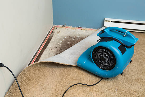 Best Carpet water damage restoration  in Alma, NE