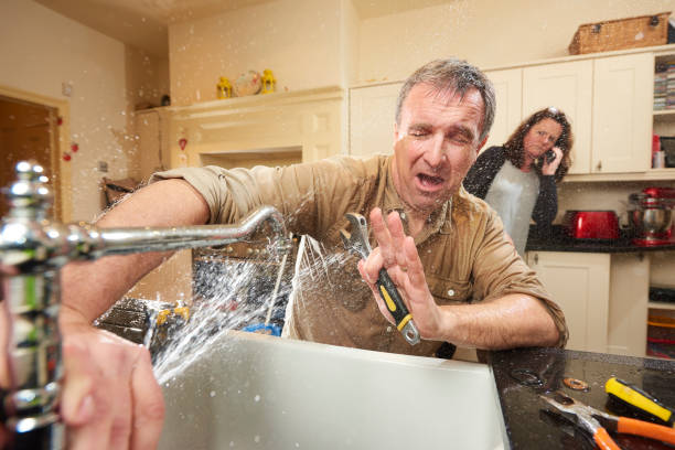 Best Water damage mitigation services  in Alma, NE